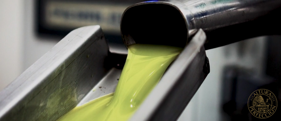 composicion del aceite de oliva valor nutricional