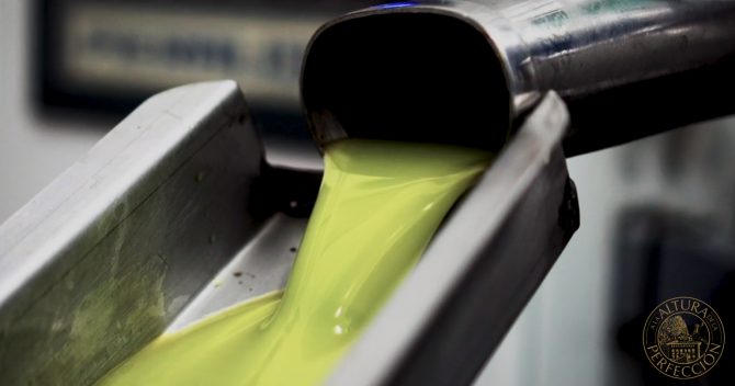 ¡¡Mira en imágenes como elaboramos el mejor aceite de oliva virgen extra del mundo!!