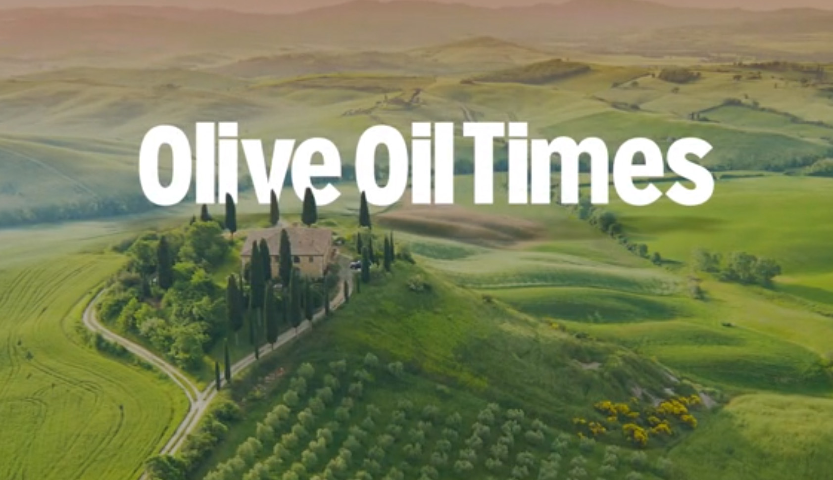 olive oil times - Masia el Altet - Blog