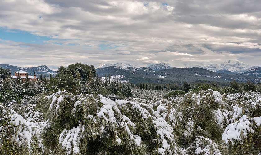 Parque natural de Sierra Mariola nevado